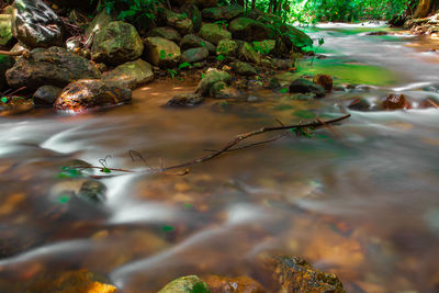 Water flowing through rocks in forest