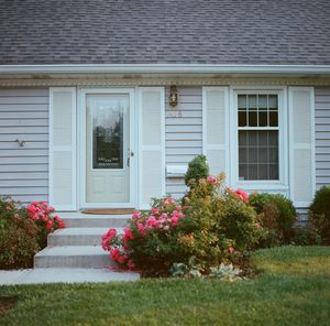 Plants growing in a house