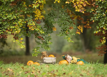 Boy sleeping on field during autumn