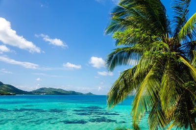 Scenic view of sea against blue sky