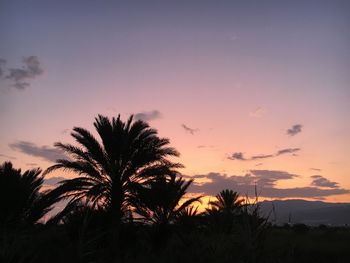 Silhouette palm trees against sky during sunset