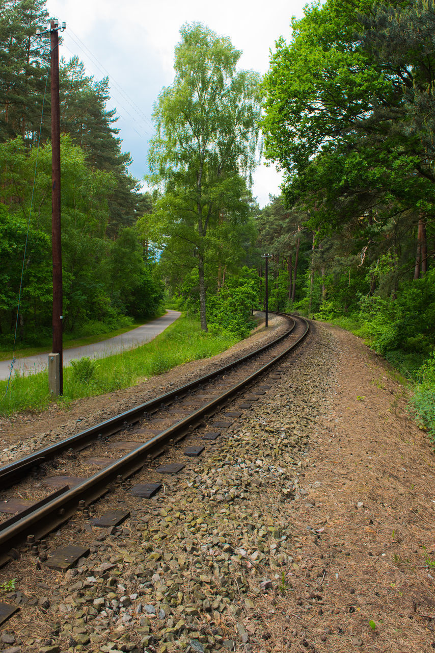 RAILROAD TRACKS BY TREES AGAINST SKY