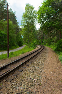 Railroad track amidst trees against sky