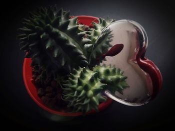 High angle view of vegetables in container against black background