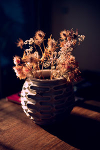 Close-up of potted plant on table