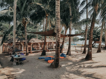 Panoramic shot of palm trees on beach