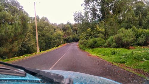 Road amidst trees seen through car windshield