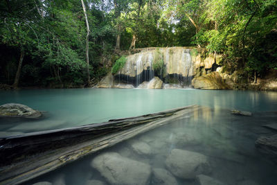 Scenic view of waterfall in forest