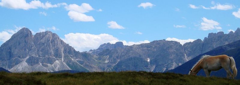 Scenic view of field against cloudy sky