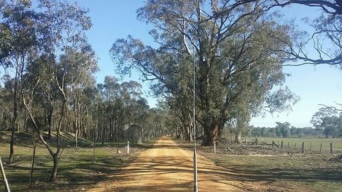 Footpath passing through landscape