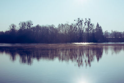 Reflection of trees in lake