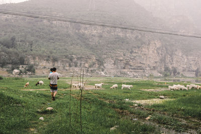 Rear view of man on field
