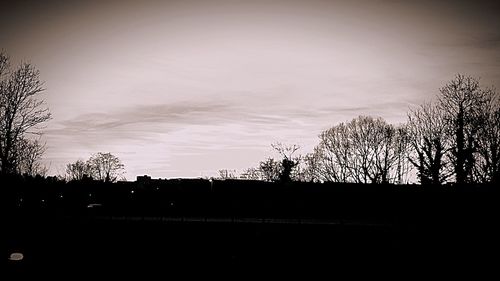 Low angle view of bare tree against sky