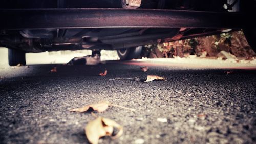 Low section of person with umbrella on street