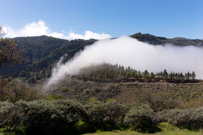 Scenic view of waterfall against sky