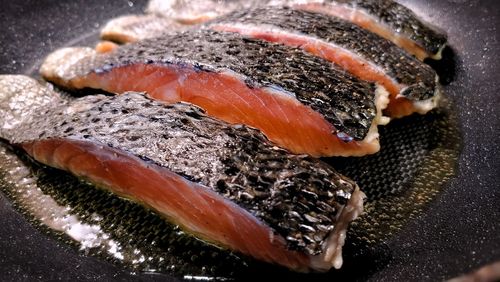 High angle view of fish in container