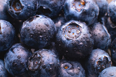 Blueberry berry background. macro. fresh blueberry background. water drops on ripe blueberries