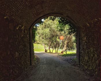 Trees seen through tunnel