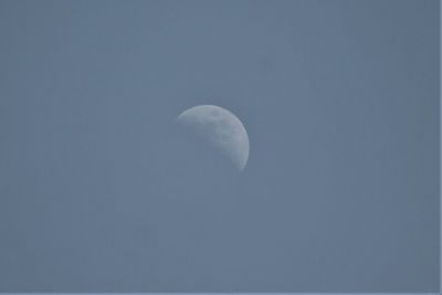 Low angle view of moon in sky