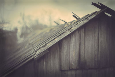 Close-up of wood