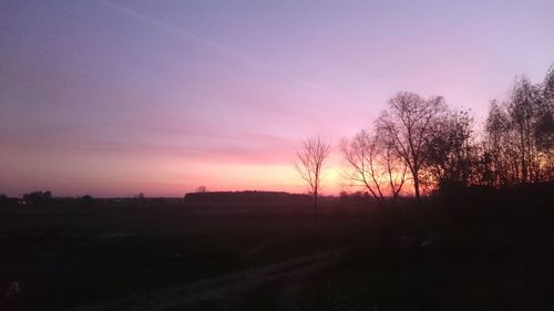 Bare trees on landscape at sunset