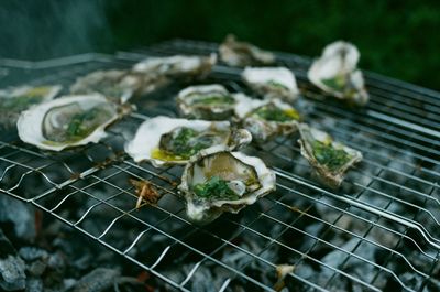 Oysters on outdoor barbeque with green onoin and olive oil 