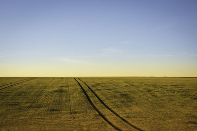 Scenic view of field against sky