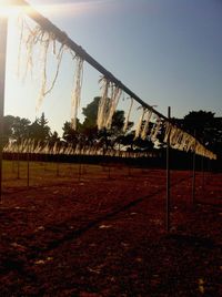 View of trees against sky