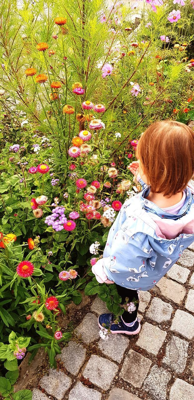 HIGH ANGLE VIEW OF WOMAN BY FLOWERING PLANTS ON FOOTPATH