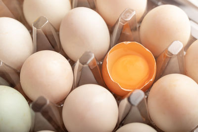 High angle view of eggs in container