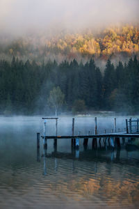 Scenic view of calm lake in foggy weather