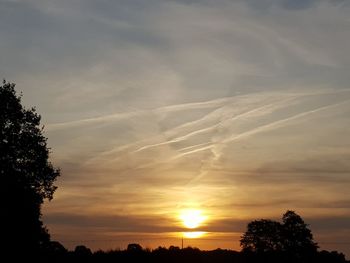 Low angle view of silhouette trees against sky during sunset