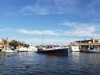 Sailboats moored in annapolis harbor against sky