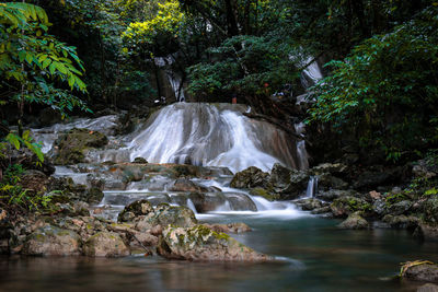 Waterfall in forest