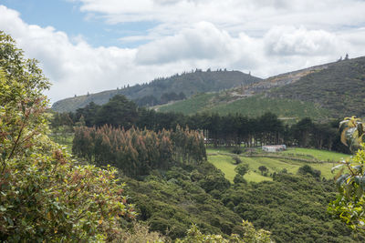 Scenic view of agricultural field against sky