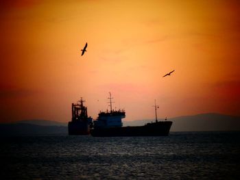 Silhouette of seagull flying over sea against sky during sunset