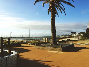 Palm trees by sea against cloudy sky