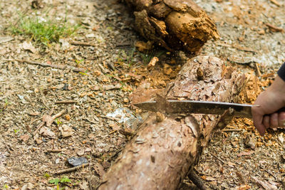 High angle view of person working in mud