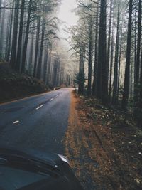 Road passing through forest