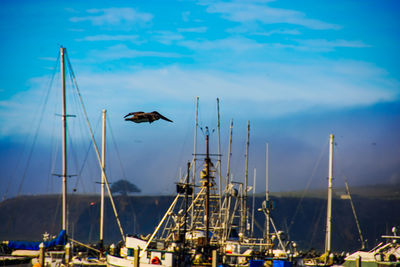 Birds flying over water against sky