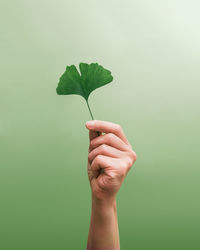 Cropped hand holding leaf against green background