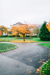 Scenic view of park against sky during autumn