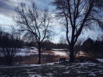 Bare trees on snow covered landscape