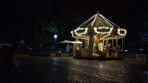 Illuminated ferris wheel at night