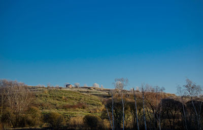 Scenic view of field against clear blue sky