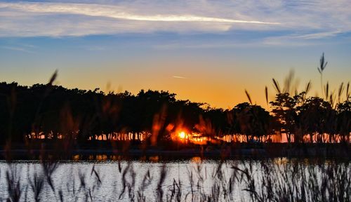 Silhouette trees by lake against sky during sunset