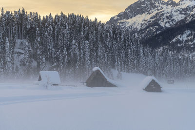 Snow covered land and trees against sky