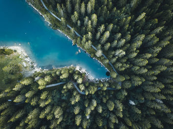 Switzerland's stunning caumasee with its crystal-clear and turquoise colored water