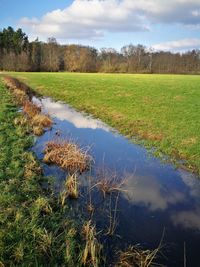 Scenic view of lake by field against sky