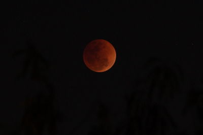 Low angle view of moon against sky at night